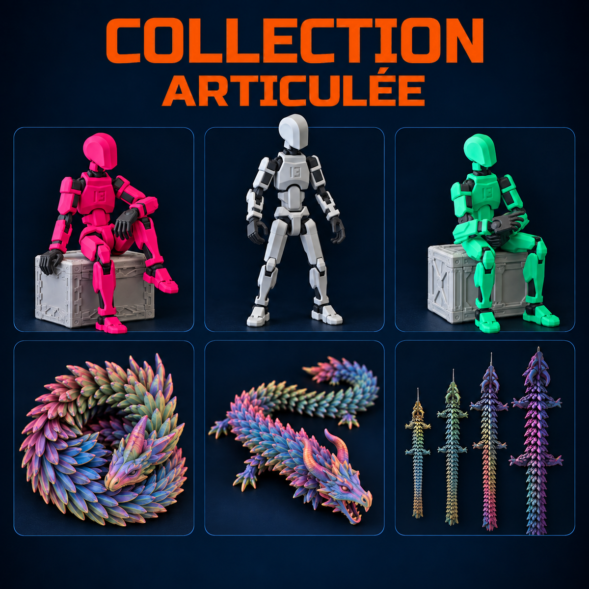 Collection Articulée